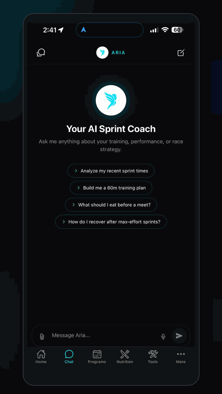 Aria AI Chat Demo