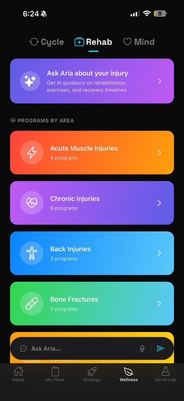 Aria Rehabilitation Programs